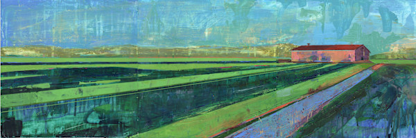 Ryegrass Sundown by Shannon Abbey