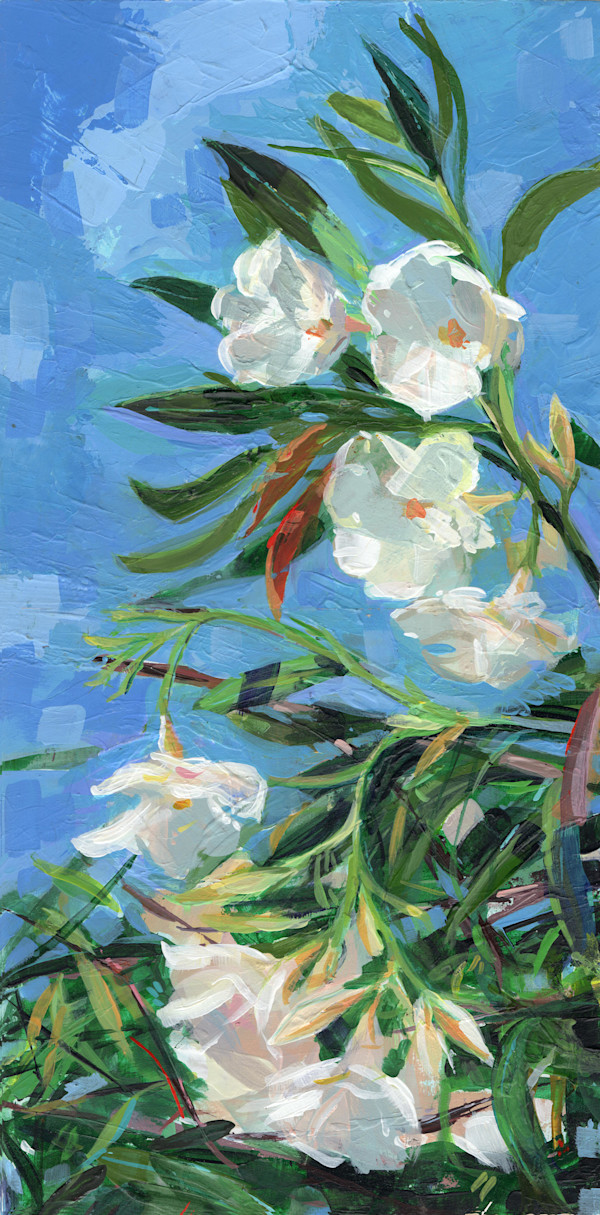 Oleanders by Shannon Abbey, Image 1.