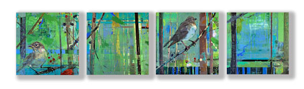 Swainson's Thrush by Shannon Abbey, Image 1.