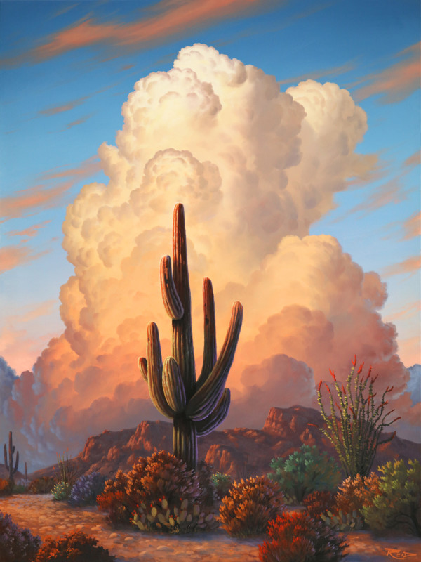 Desert Color by Reid Richardson