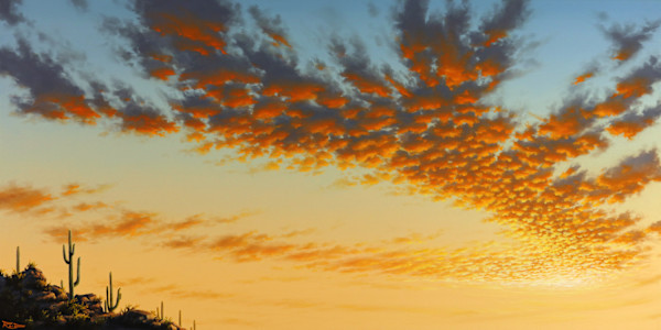 Desert Serenity by Reid Richardson