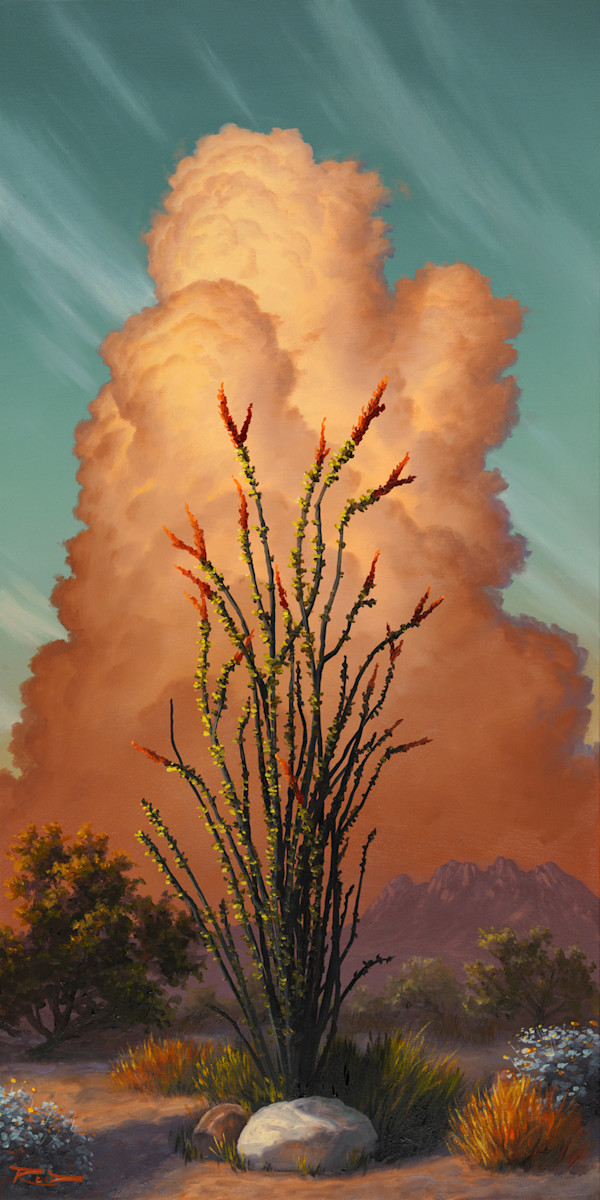 Ocotillo Serenade by Reid Richardson, Image 1.