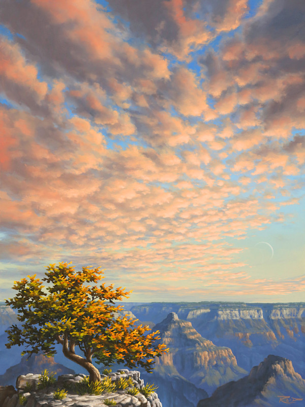 Quiet Lookout by Reid Richardson