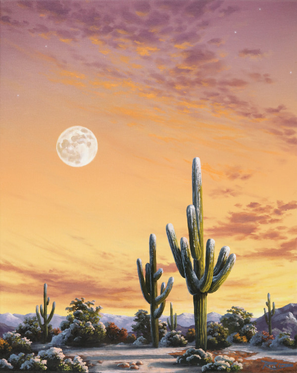 Sonoran Frost by Reid Richardson