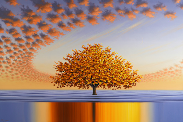 Sunny Revival by Reid Richardson, Image 6.