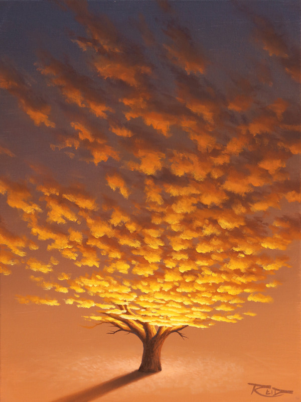 Sunset Tree 1 by Reid Richardson