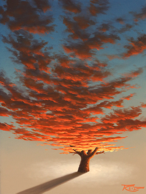 Sunset Tree 2 by Reid Richardson