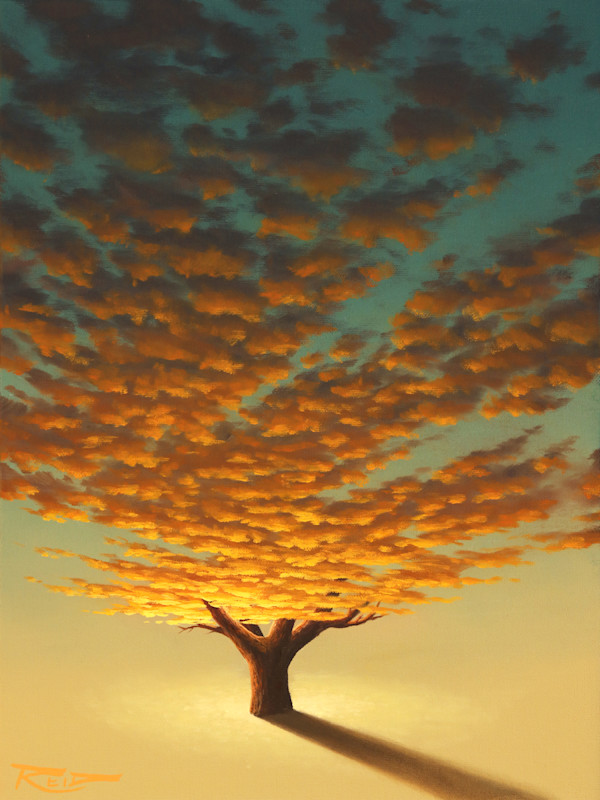 Sunset Tree 3 by Reid Richardson