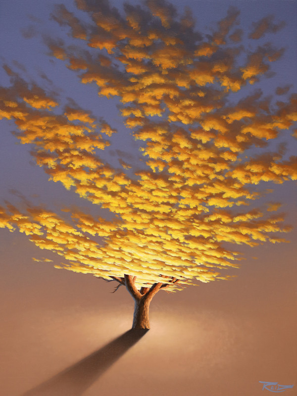 Sunset Tree 4 by Reid Richardson