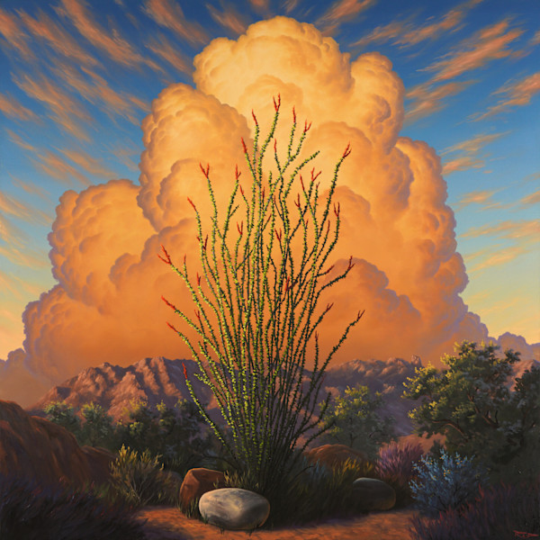 Thriving Desert by Reid Richardson, Image 1.