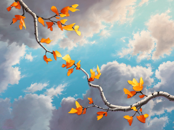 Touch of Light by Reid Richardson