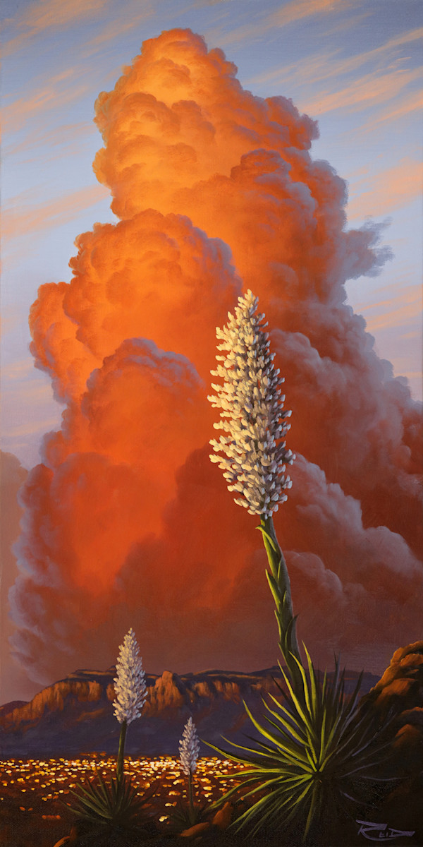 Yucca Enchantment by Reid Richardson