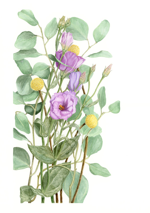 Eucalyptus Lisianthus by Victoria Beyer