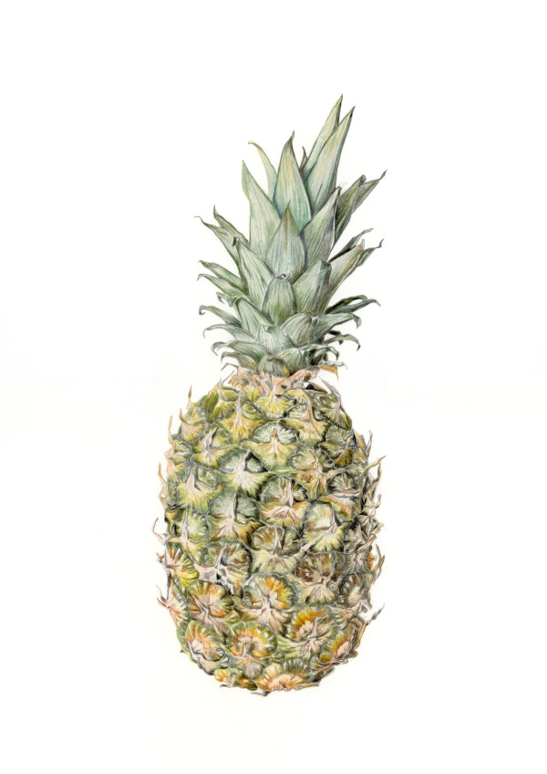 Just a pineapple by Victoria Beyer