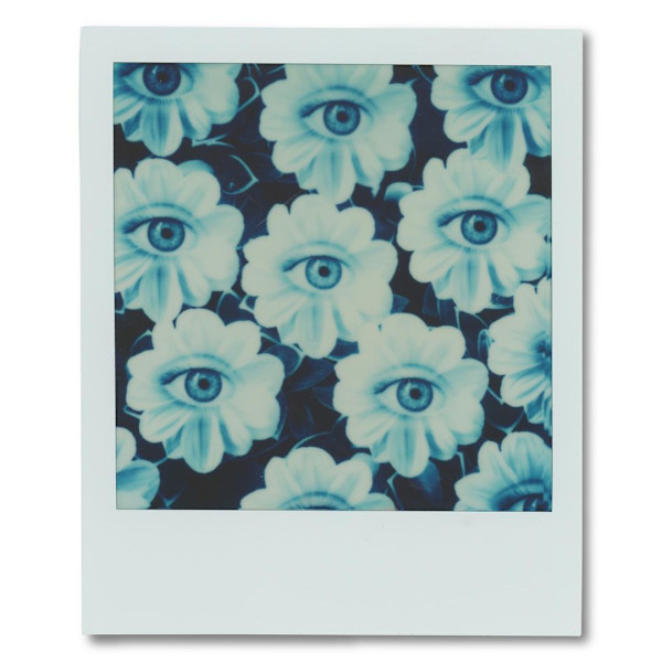 The Flowers Have Eyes by Leny Gerard Behar