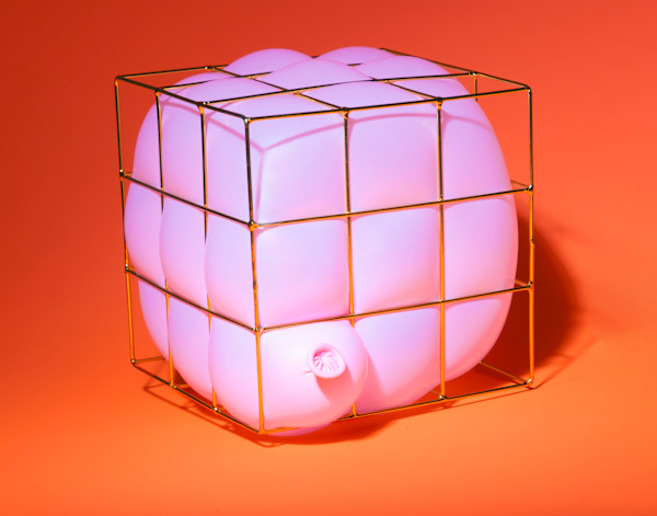 Caged Mindset by Lenny Gerard, Image 2.