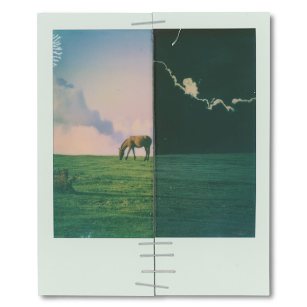 Horse by Day by Leny Gerard Behar