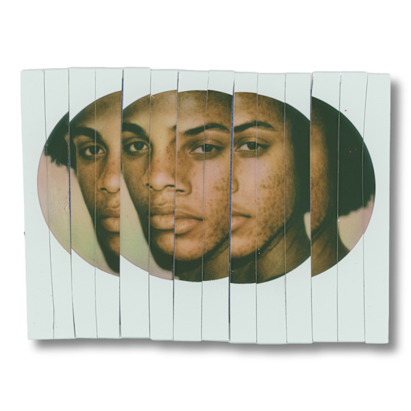 Veil of Halves by Leny Gerard Behar, Image 10.