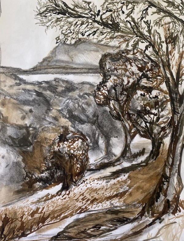 Olive Grove by Erin N. Power, Image 1.