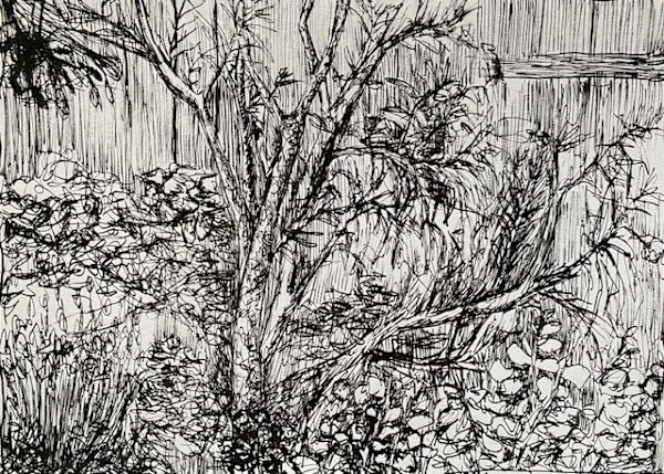 Untitled (Foliage 2) by Erin N. Power, Image 1.