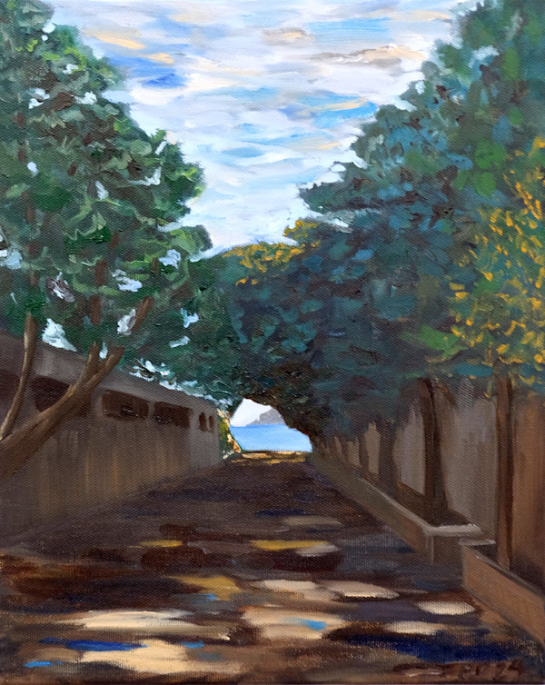 Public Access by Erin N. Power