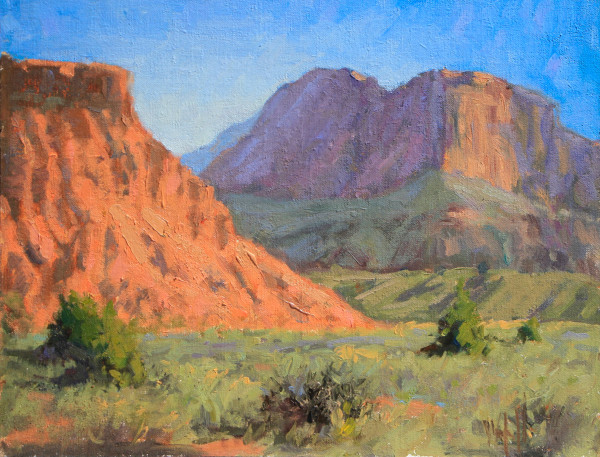 Capitol Morning by Beth Winfield