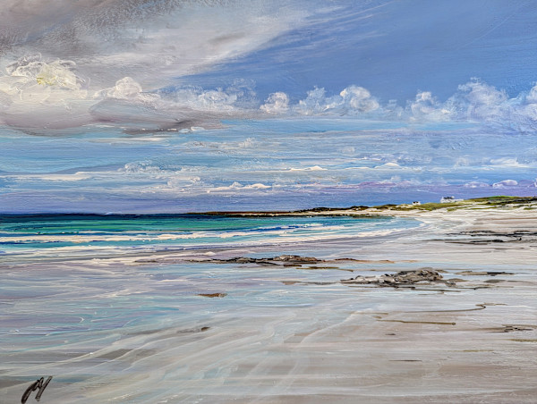 Balephetrish Tiree, June by Allison Young