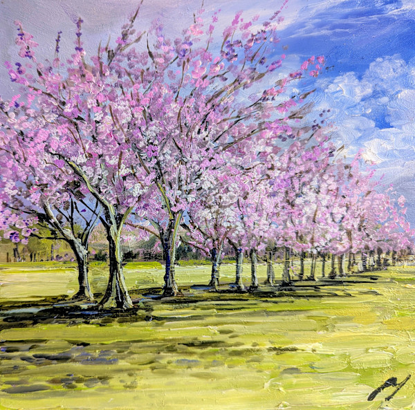 Cherry Blossom, The Meadows 1 by Allison Young, Image 4.