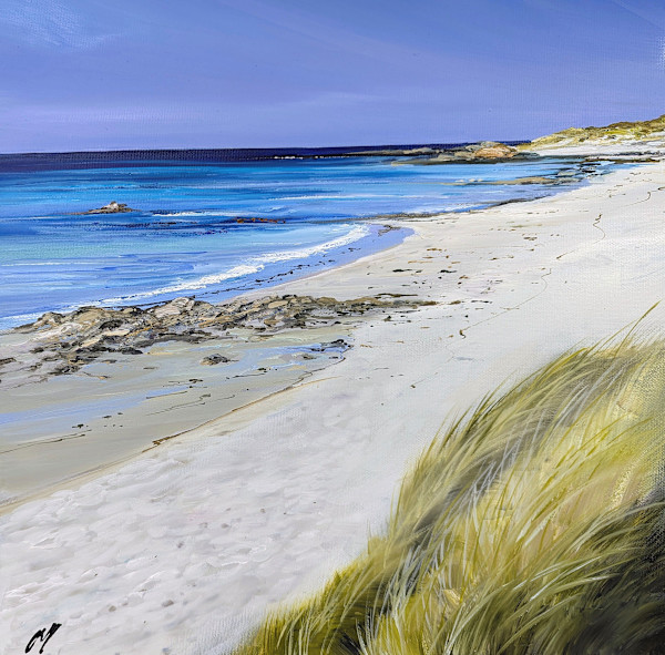 Blue Sky the Green Tiree by Allison Young
