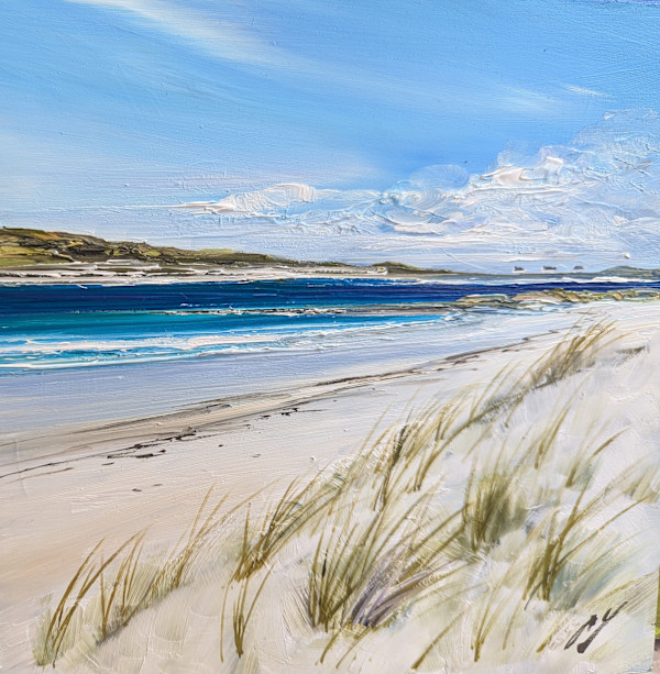 Beach Grasses Gunna Sound Tiree by Allison Young
