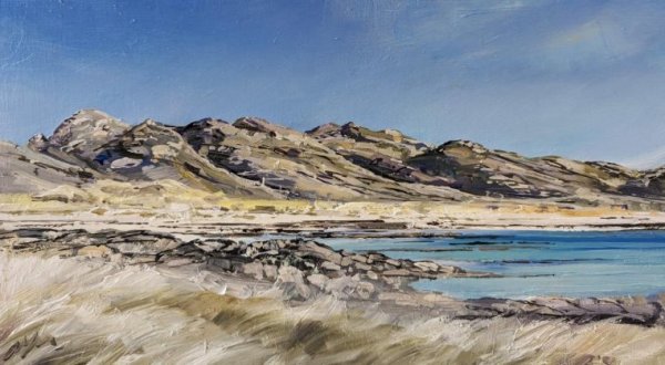 June Day Sanna Bay by Allison Young