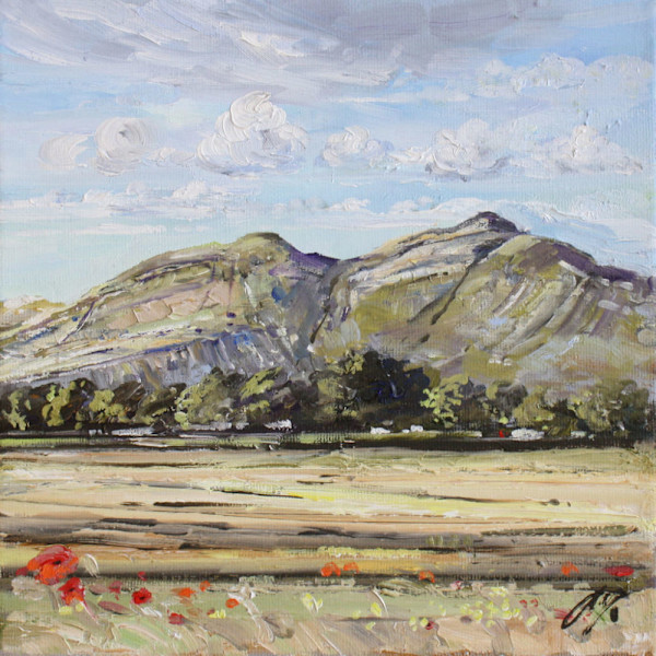 Dumyat and Poppies 1 by Allison Young