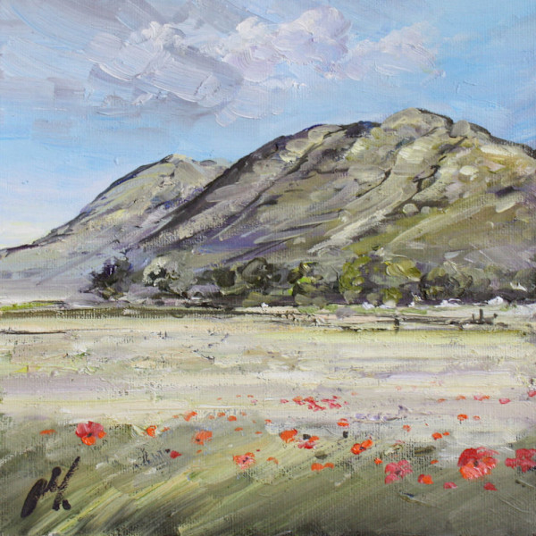 Dumyat and Poppies 2 by Allison Young