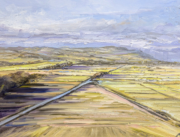 Gargunnock Hills, View from Stirling Castle by Allison Young