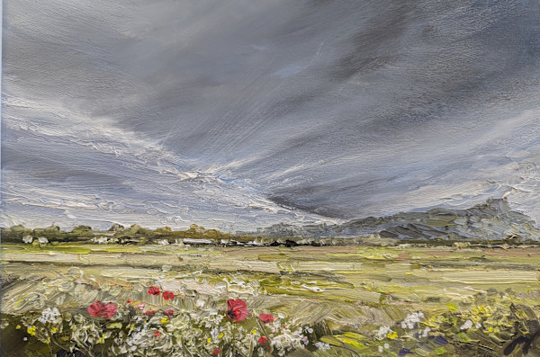 Poppies, Carse of Lecropt by Allison Young