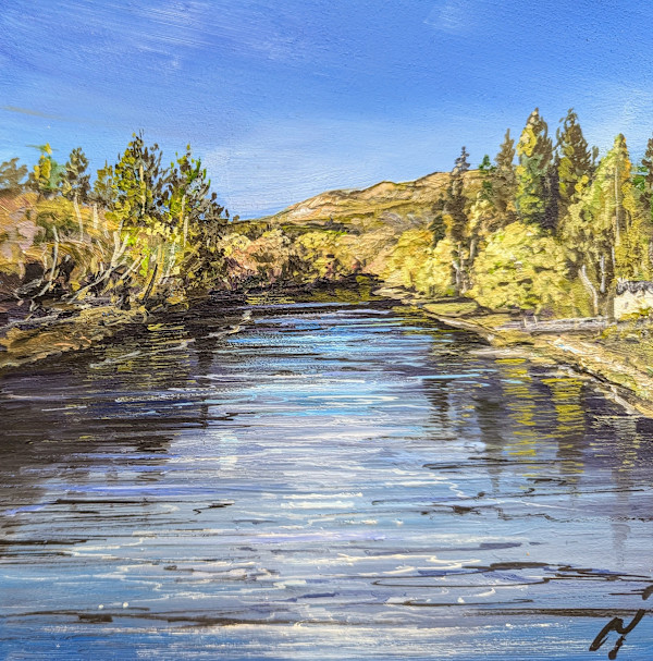 River Tay at Dunkeld by Allison Young