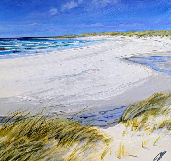 Beach Grasses Balevullin Tiree by Allison Young