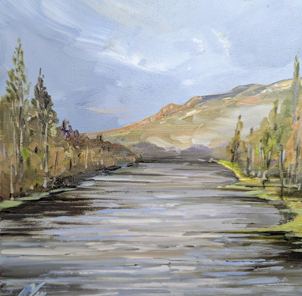 View from the Bridge, Dunkeld by Allison Young
