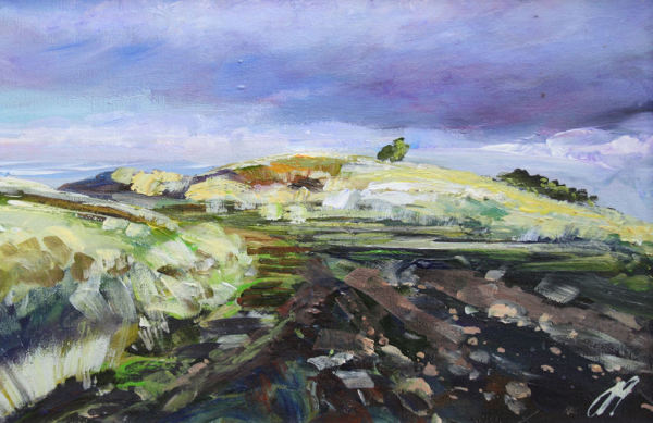 Path to Dumyat by Allison Young