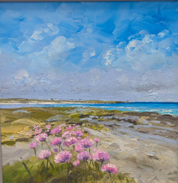 sea pinks Tiree by Allison Young, Image 1.