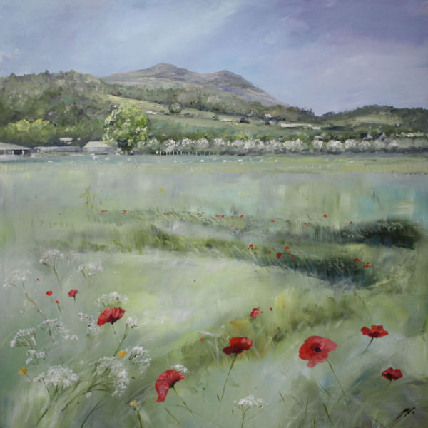Summer Field, Carse of Lecropt by Allison Young