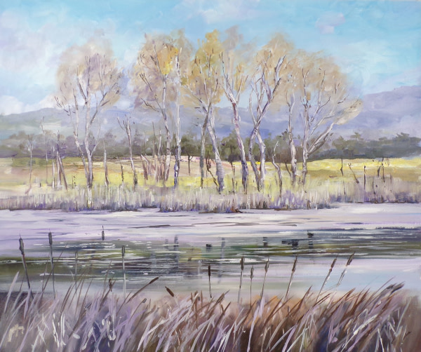 Bullrushes Airthrey Loch by Allison Young