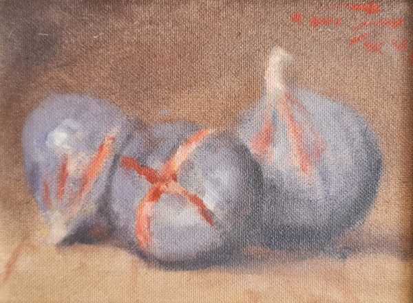 3 Figs by Duggie Du Toit