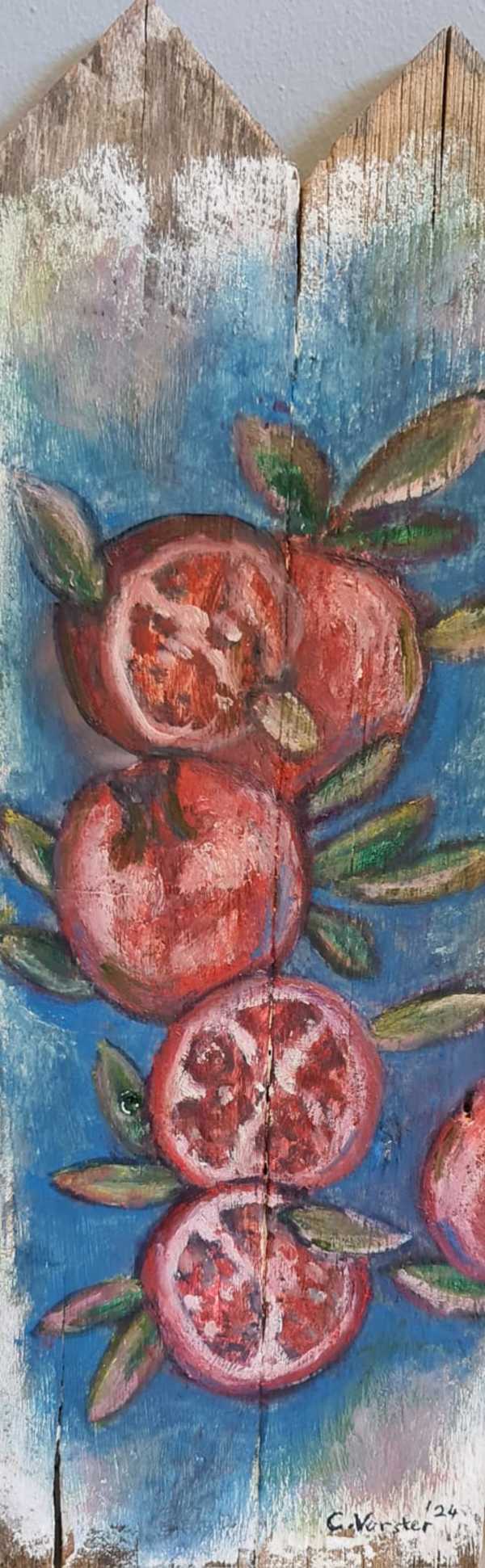 Picket Fence Pomegranates by Christien Vorster