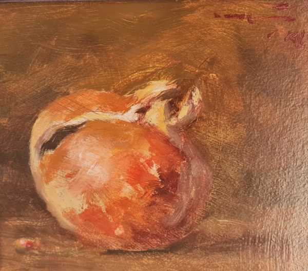 Pomegranate by Duggie Du Toit