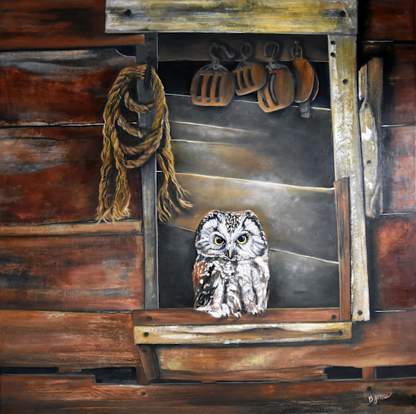 The Keeper of Silence - A Boreal Owl by Bobbe Jones, Image 1.