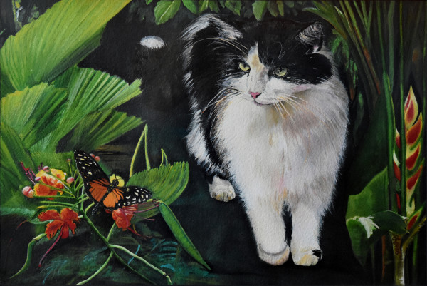 Costa Rica Cat by Bobbe Jones