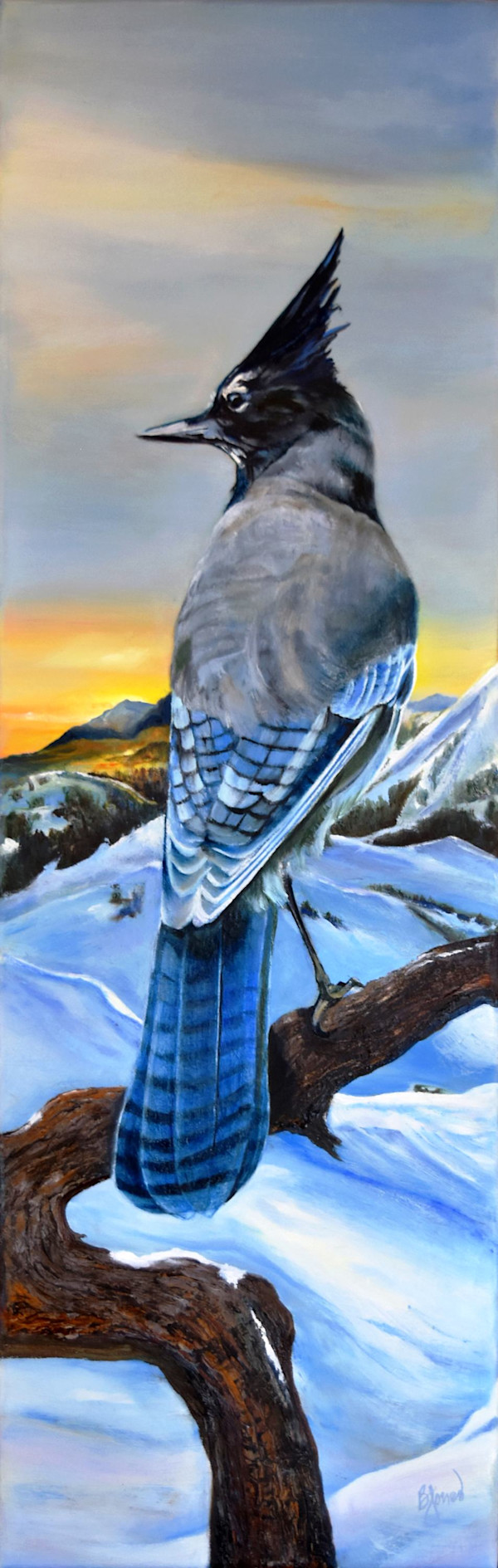 Steller's Morning by Bobbe Jones, Image 1.