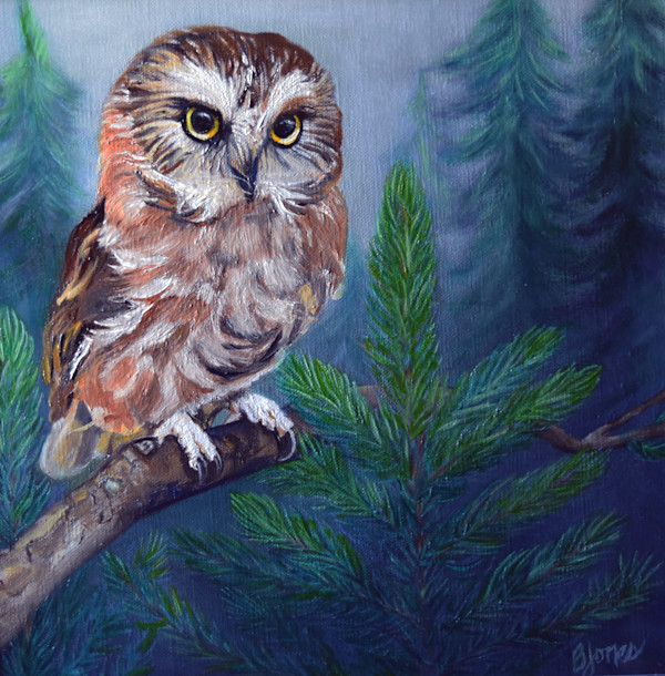 Whimsical Watcher, Northern Saw-whet Owl by Bobbe Jones