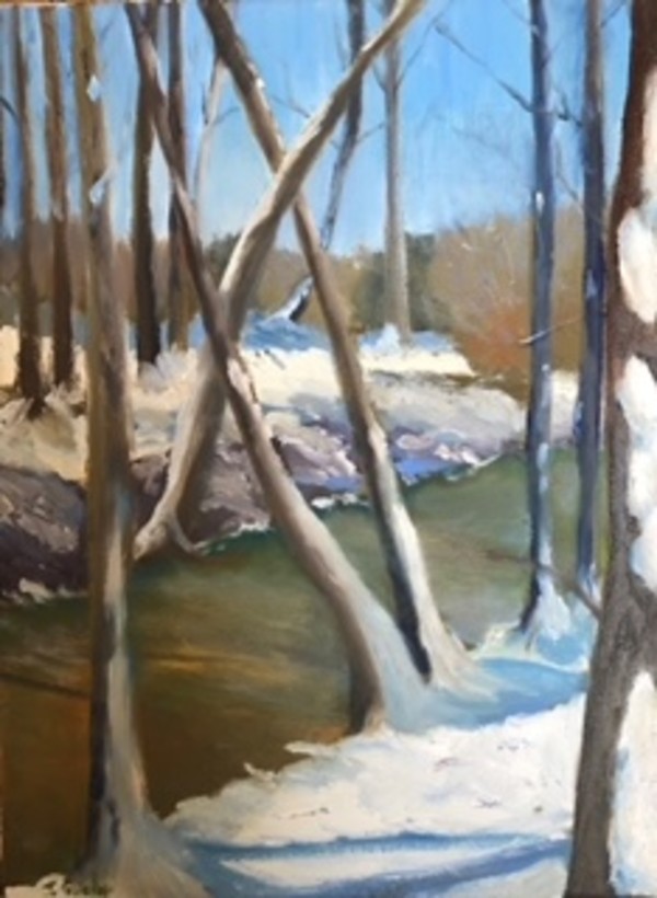 Winter in Maine Woods by Janet Gallagher